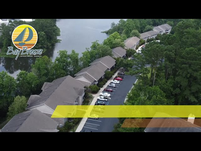 Video 1