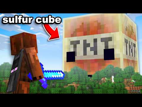 I Added the Sulfur Cube to Torture My Friends
