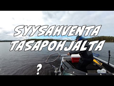 Syysahventa tasapohjalta