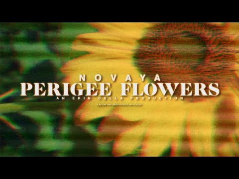 Novaya - "Perigee Flowers" (Official Music Video)