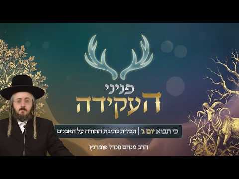 פניני העקידה - יום ג' פרשת כי תבא
