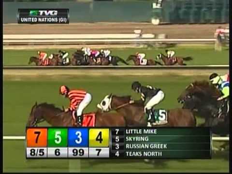 2013 United Nations Handicap - Big Blue Kitten
