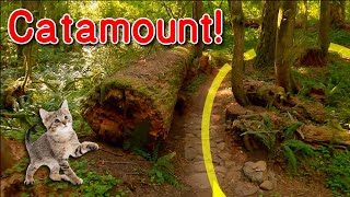 A trip down Catamount!