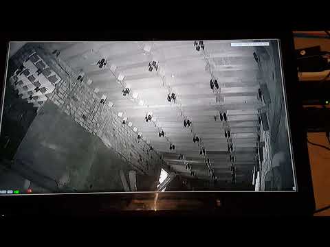 Bên trong nhà yến mới khai trương tại Chợ Lầu - Bắc Bình - Bình Thuận