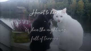 Heart to heart &amp; The night we met (sped up + reverb) remix tiktok
