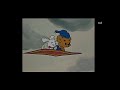 Bamse Mattan Blir Sur På Lille Skutt