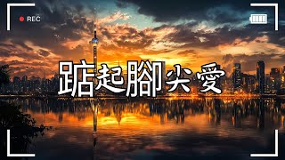 洪佩瑜 Peiyu Hung - 踮起腳尖愛｜動畫歌詞/Lyric Video「想踮起腳尖找尋愛 遠遠的存在」