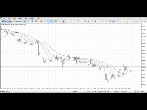 Video Alligator modified