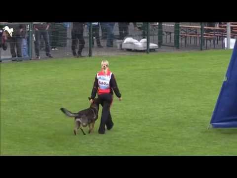 "Mindy vom Ratsenheim"  WUSV Universalsieger WM 2016