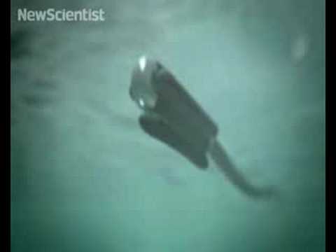 Giant rubber snake could be the future of wave power