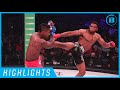Highlights | Paul Daley