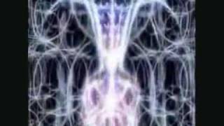 DECEPTION of MANKIND TAKE BACK YOUR MIND WAKE UP CALL terence mckenna