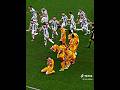 Argentina vs Netherlands World Cup Fight #shorts #trending #viral #youtube #football #messi