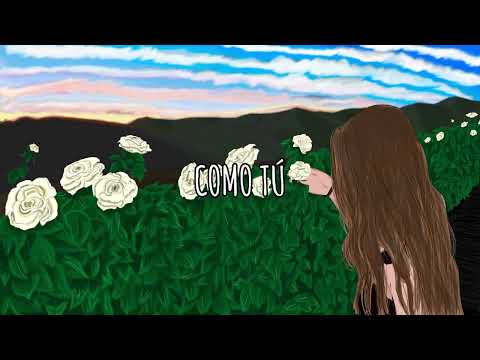 Dos del Bosque - Como Tú (Lyric Video)