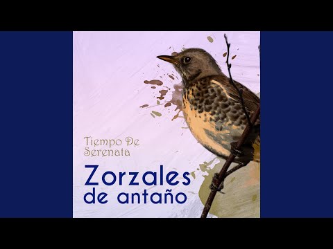 A Tu Memoria Madrecita