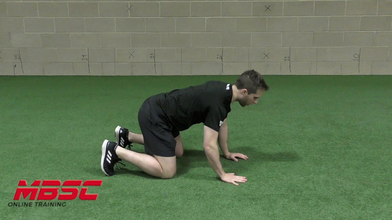 Bear Plank - YouTube