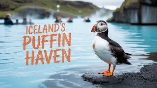Iceland's Blue Lagoon and Puffins - Hidden Gems or Tourist Traps?