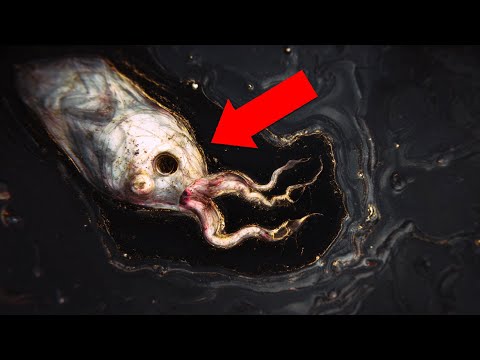 5 Terrifying Things Found While Drilling for Oil