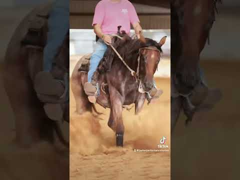 youtube preview