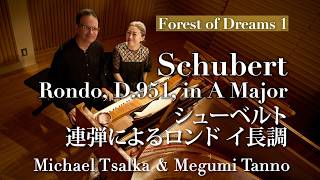 Download lagu 【第1回】シューベルトの森:ロンド イ長調 (四手連弾)|Schubert: Rondo D.951, Fortepiano 4 Hands Tanno & Tsalka mp3 Download lagu 【第1回】シューベルトの森:ロンド イ長調 (四手連弾)|Schubert: Rondo D.951, Fortepiano 4 Hands Tanno & Tsalka mp3