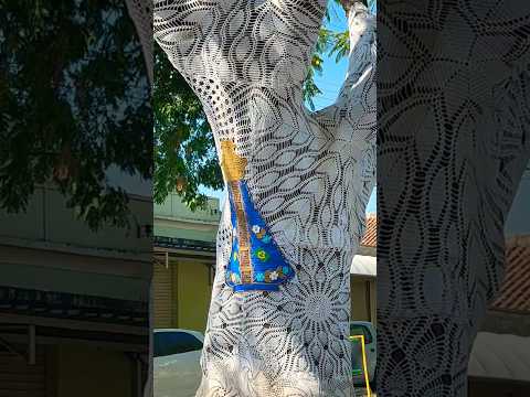 Essas árvores em inconfidentes MG têm o seu tronco coberto por crochê vejam!! ￼