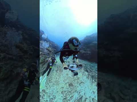 When you run into your instructor friend underwater... 🌊沖縄恩納村万座ダイビング
