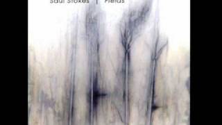 Saul Stokes - This Road Is Glowing