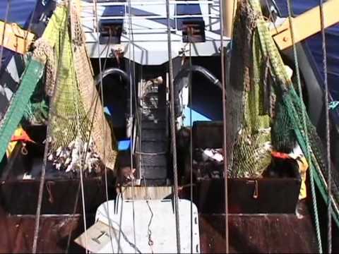 Kw 42 kotter  (fishcutter), part 1