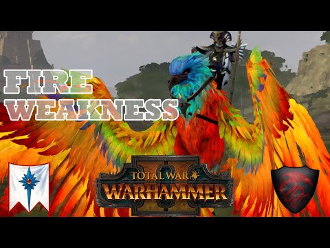 Stacking fire debuffs! | High Elves vs Vampire Counts | Total War: Warhammer 2