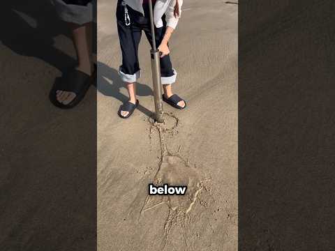 How to Find Sandworms