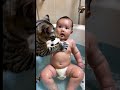 Cat Bathes Baby Cat Catvideos Cute