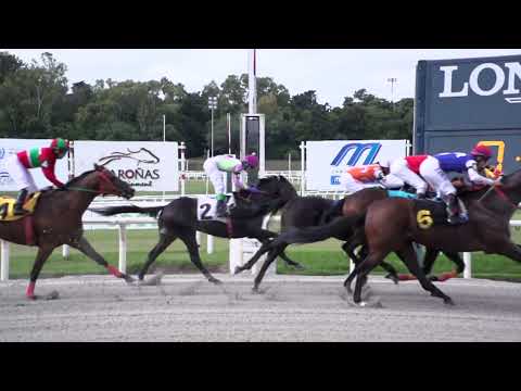 230318 c02 EL PATOVA