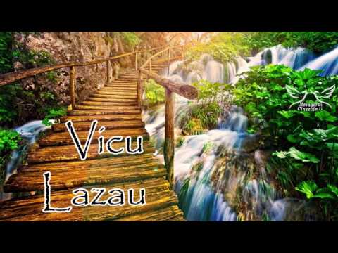 Vicu Lazau - Colaj muzica crestina pentru Dumnezeu.