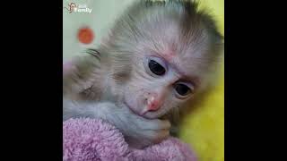 Justin takes a shower before going to bed