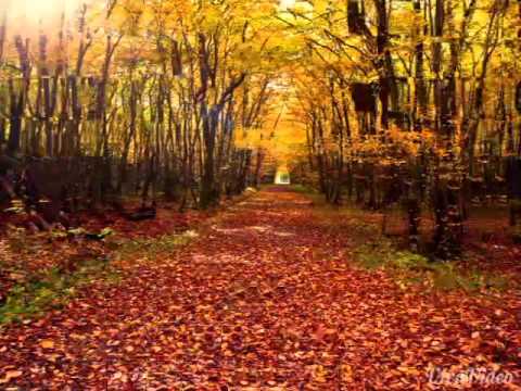 Hande Yener- NABER (Dj Stealy)