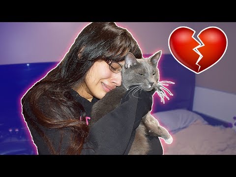 I Lost Our Kitty Prank On Girlfriend!!