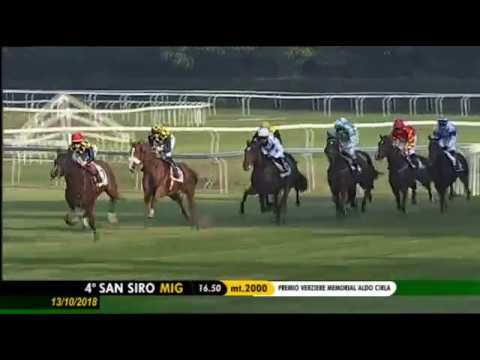 2018.10.13 Premio Verziere (ITA) - Flower Party