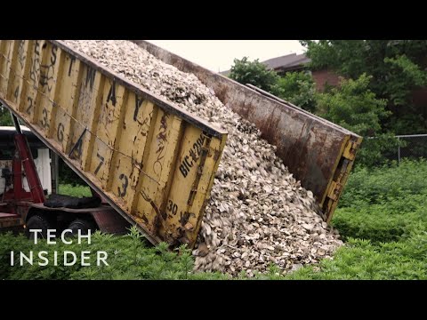 一群人如何在紐約港恢復數千只牡蠣？ (How One Group Is Restoring Thousands Of Oysters To The New York Harbor)
