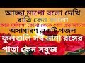 আচ্ছা মাগো বলো দেখি রাত্রি কেন কালো অস