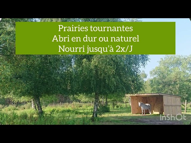 Les Ecuries de Landriole - Pension chevaux (33)