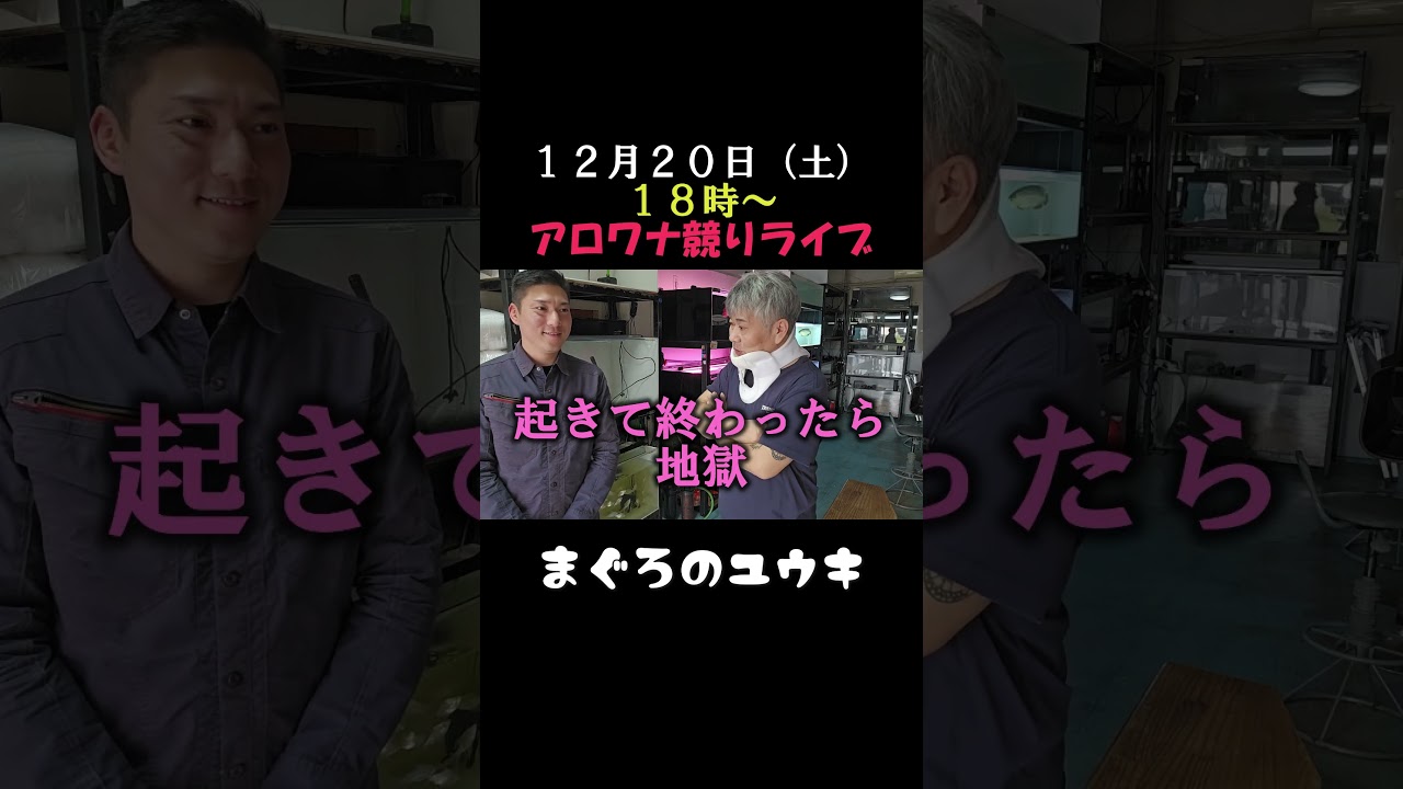 怖すぎて足がガクガク震えたよ #アロワナ