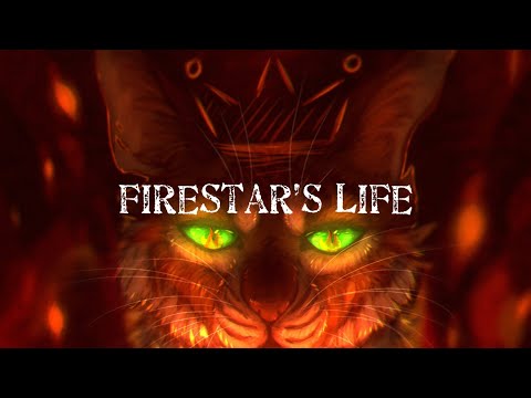 FireStar’s life
