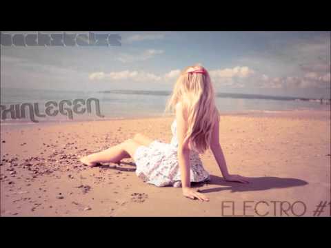 Bachstelze - Hinlegen [Elektro #1]