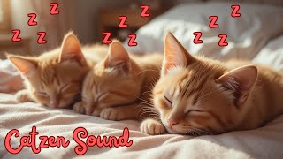 2.5 Hours of Triple Kitten ASMR ???????????? Soft Purring for Deep Sleep & Relaxation