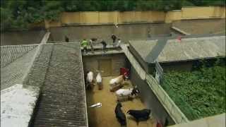 Ruedos con Historia |  Plaza de toros de Granada