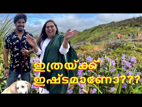 ഡോഗ്സിനെ സ്നേഹിക്കുന്നവരാണോ നിങ്ങൾ..അവരെ പുറത്ത് കൊണ്ടുപോകാറില്ലേ??.എങ്കിലിത് കാണണം | ​⁠