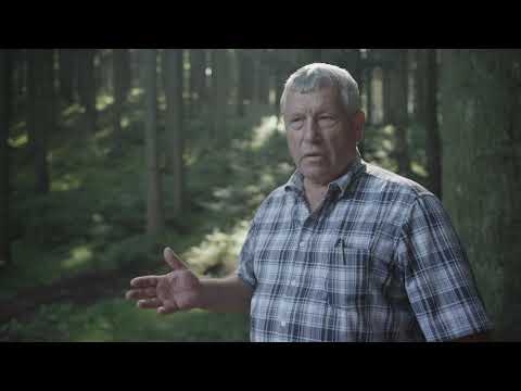 Teil 3: „Dauners kleine Waldschule“