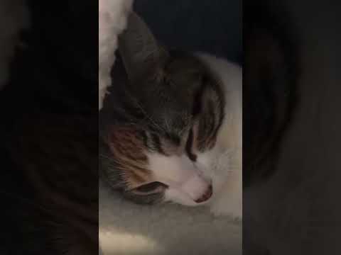 We don’t need any hashtags! ;)