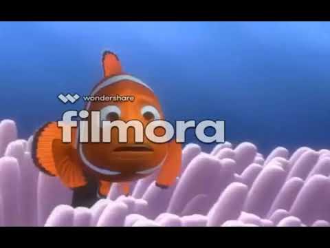 Finding Nemo Barracuda2