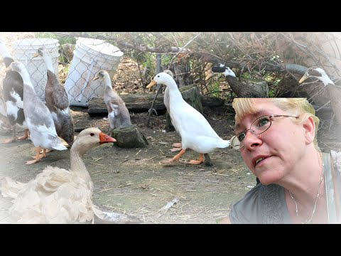 GUESS WHAT WE GOT!!!! Day 149 (05/27/20)